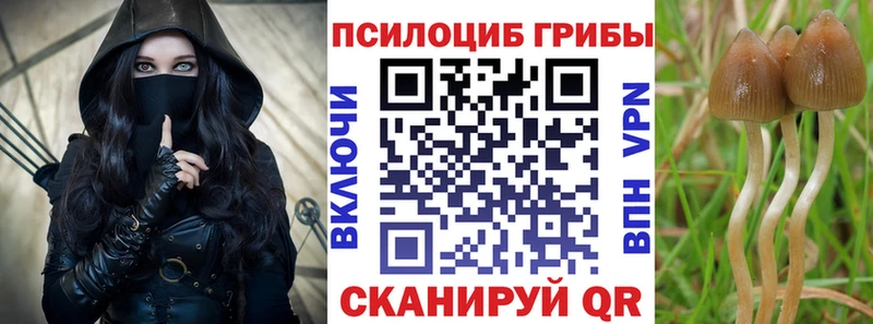 Галлюциногенные грибы Psilocybine cubensis Купить закладки Гаврилов-Ям