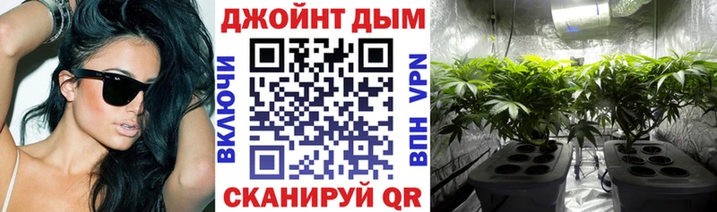 Купить  Гаврилов-Ям  Бошки марихуана THC 21% 